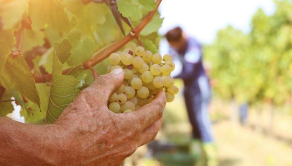 Gestión de personal agrícola