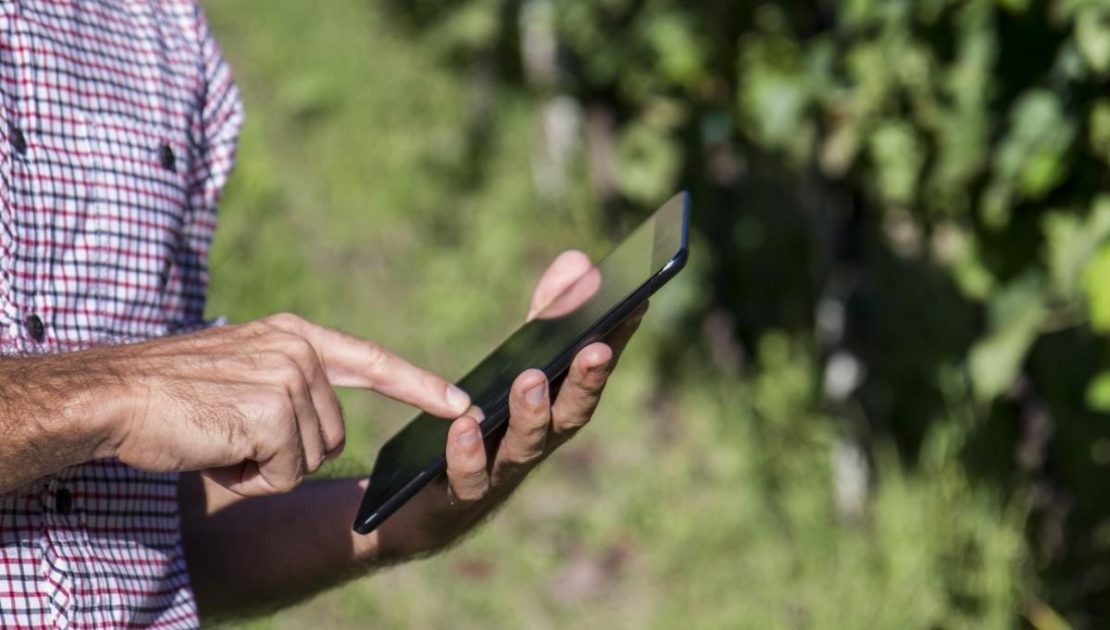Transformación digital en la agricultura: qué es y cómo beneficia al sector