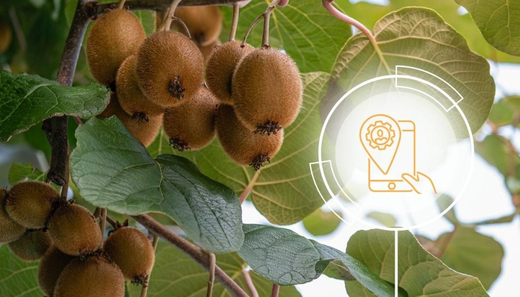 Agricultura inteligente