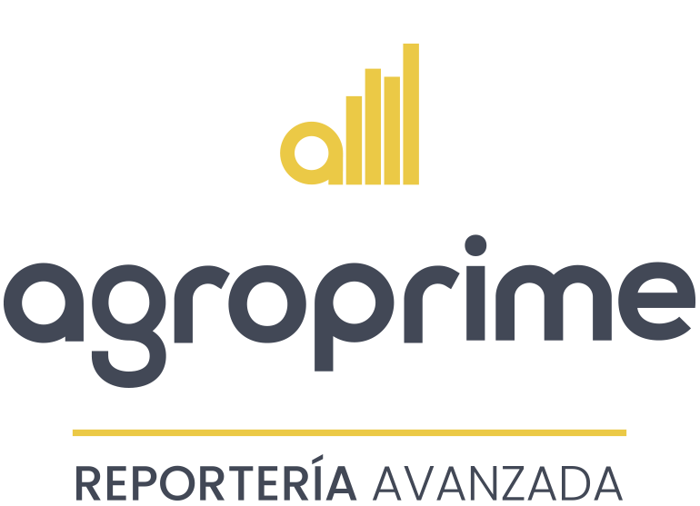 logo reporteria avanzada