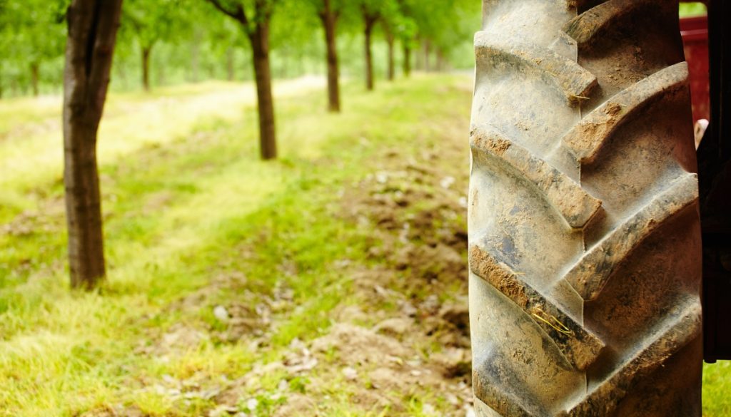 Agricultura en Chile, un sistema que cosecha empleo y genera estabilidad